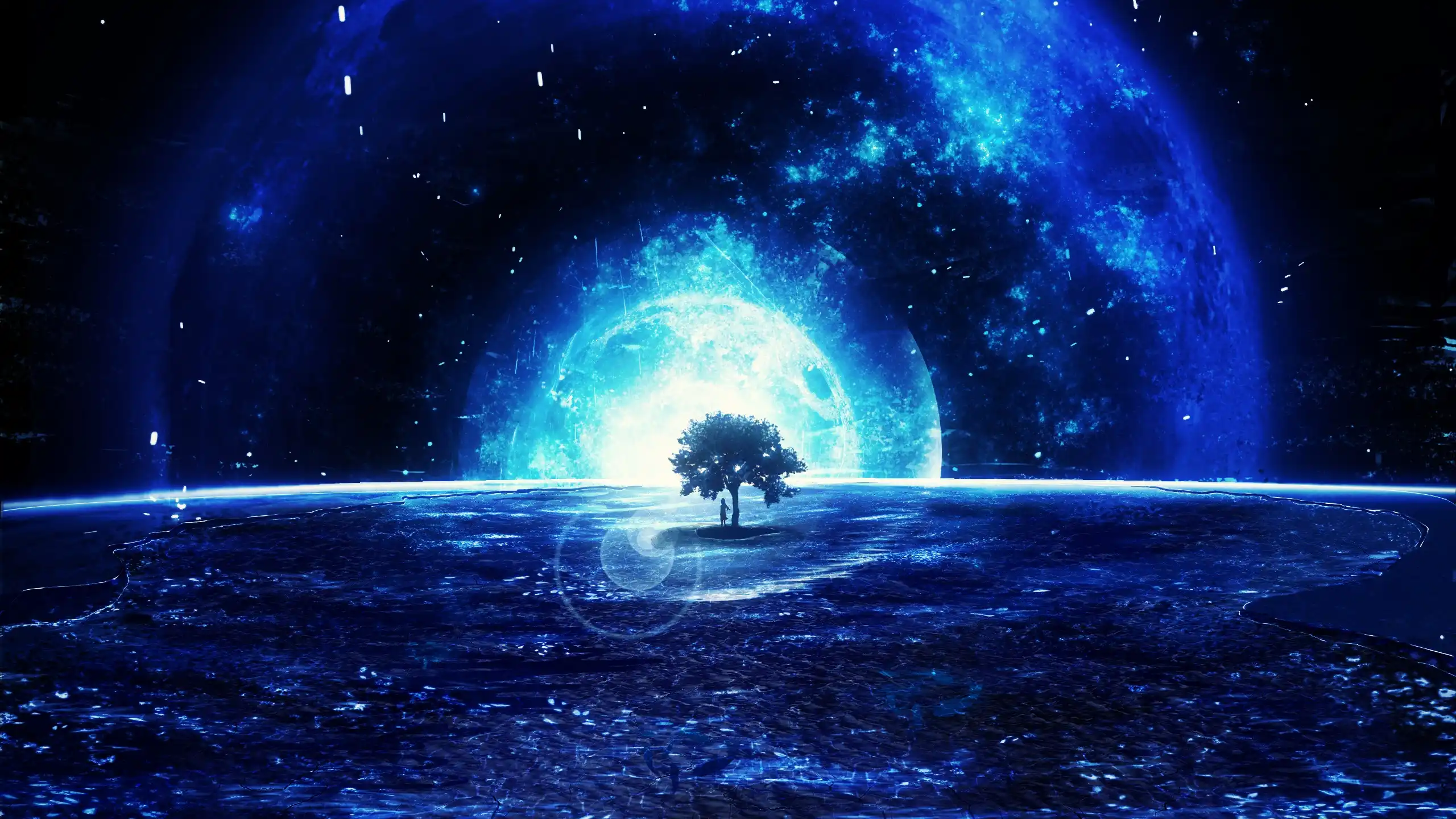 boxmoe_header_banner_img
