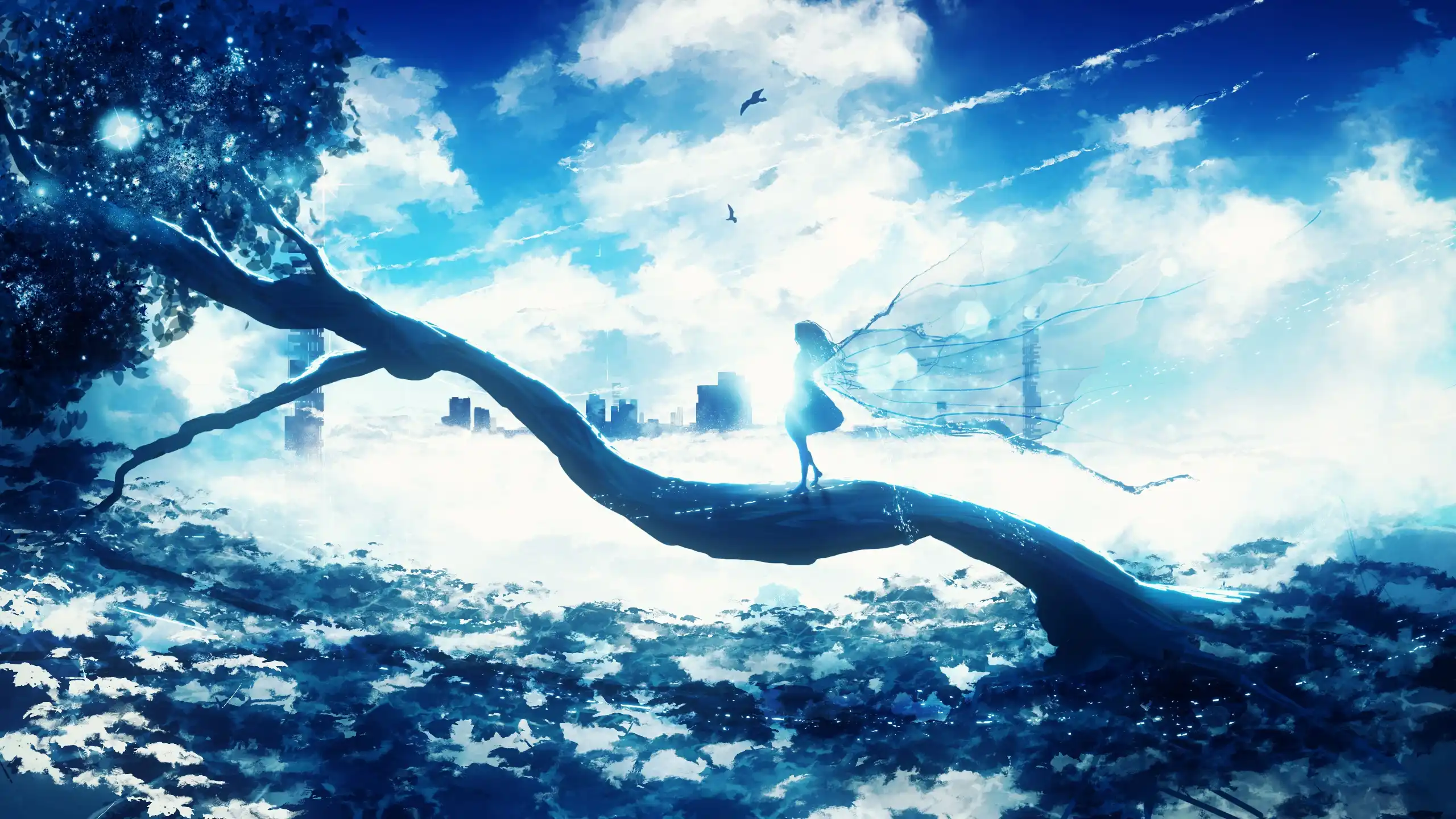 boxmoe_header_banner_img