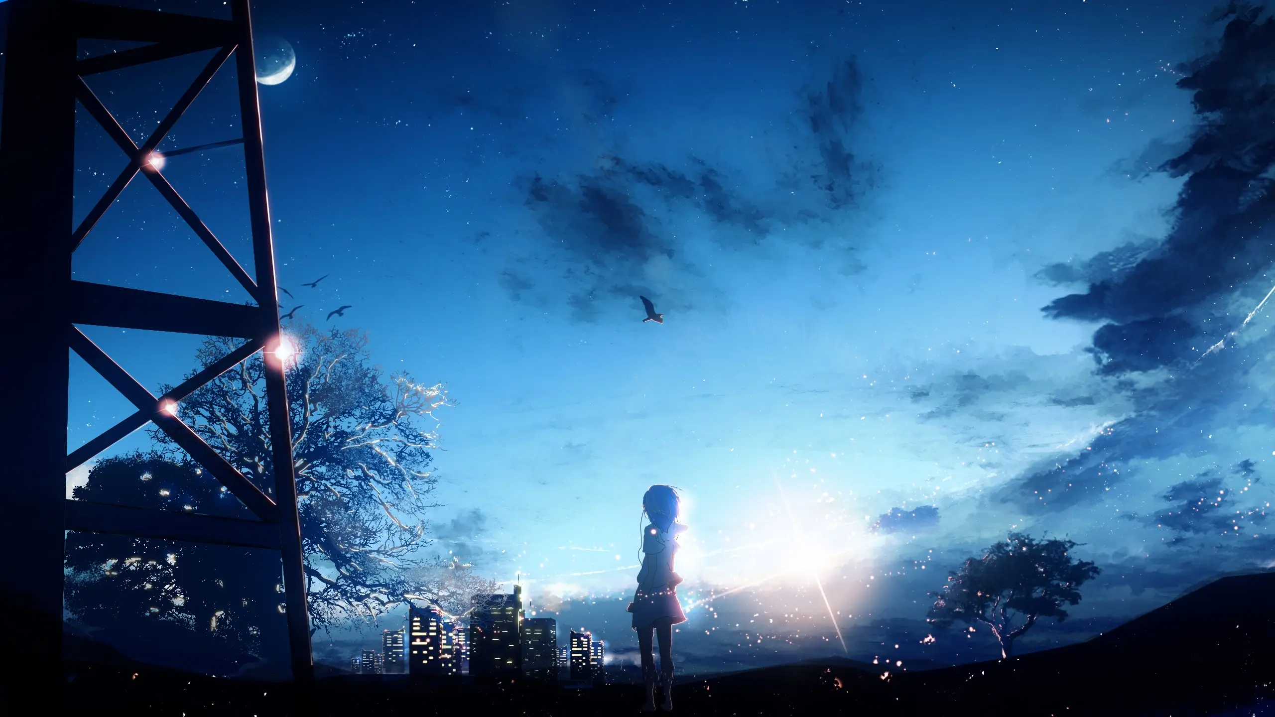 boxmoe_header_banner_img
