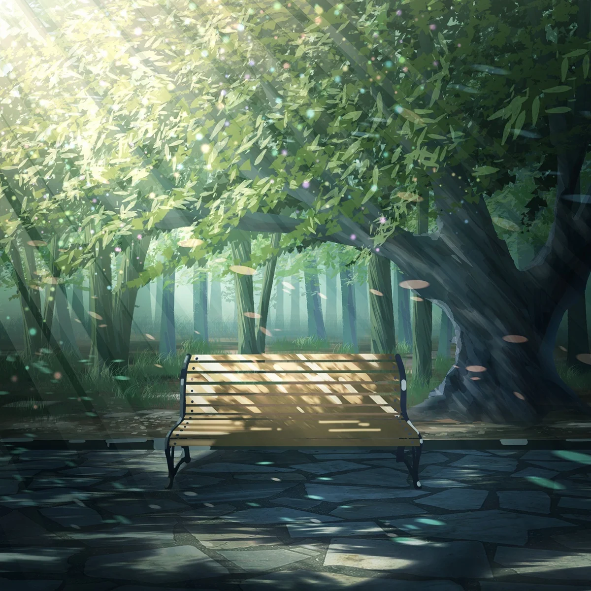 boxmoe_header_banner_img