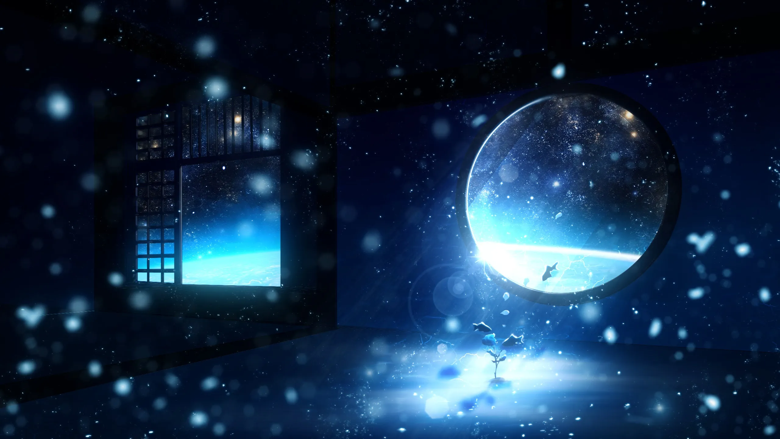 boxmoe_header_banner_img