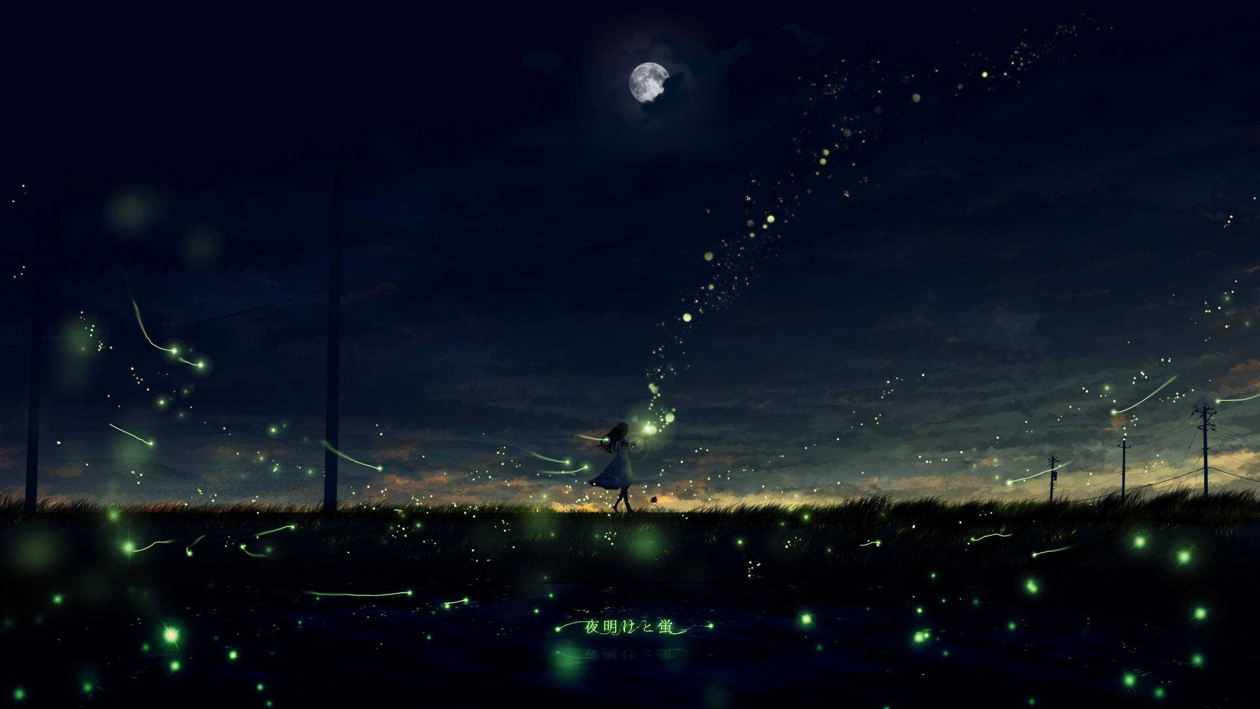 boxmoe_header_banner_img