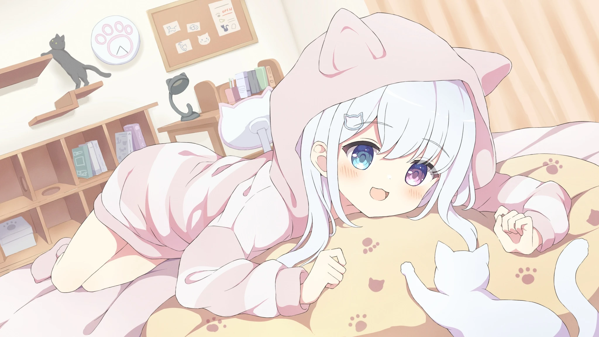 boxmoe_header_banner_img
