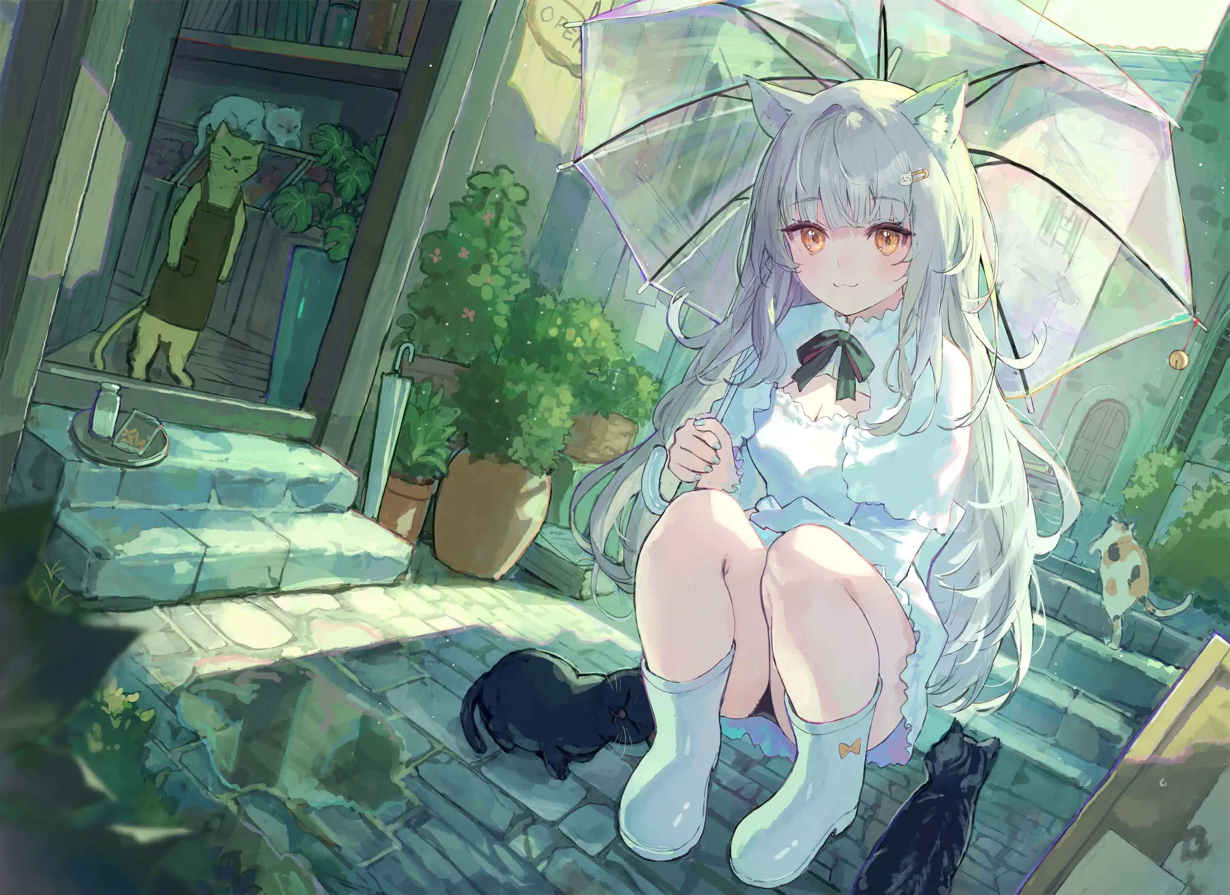 boxmoe_header_banner_img