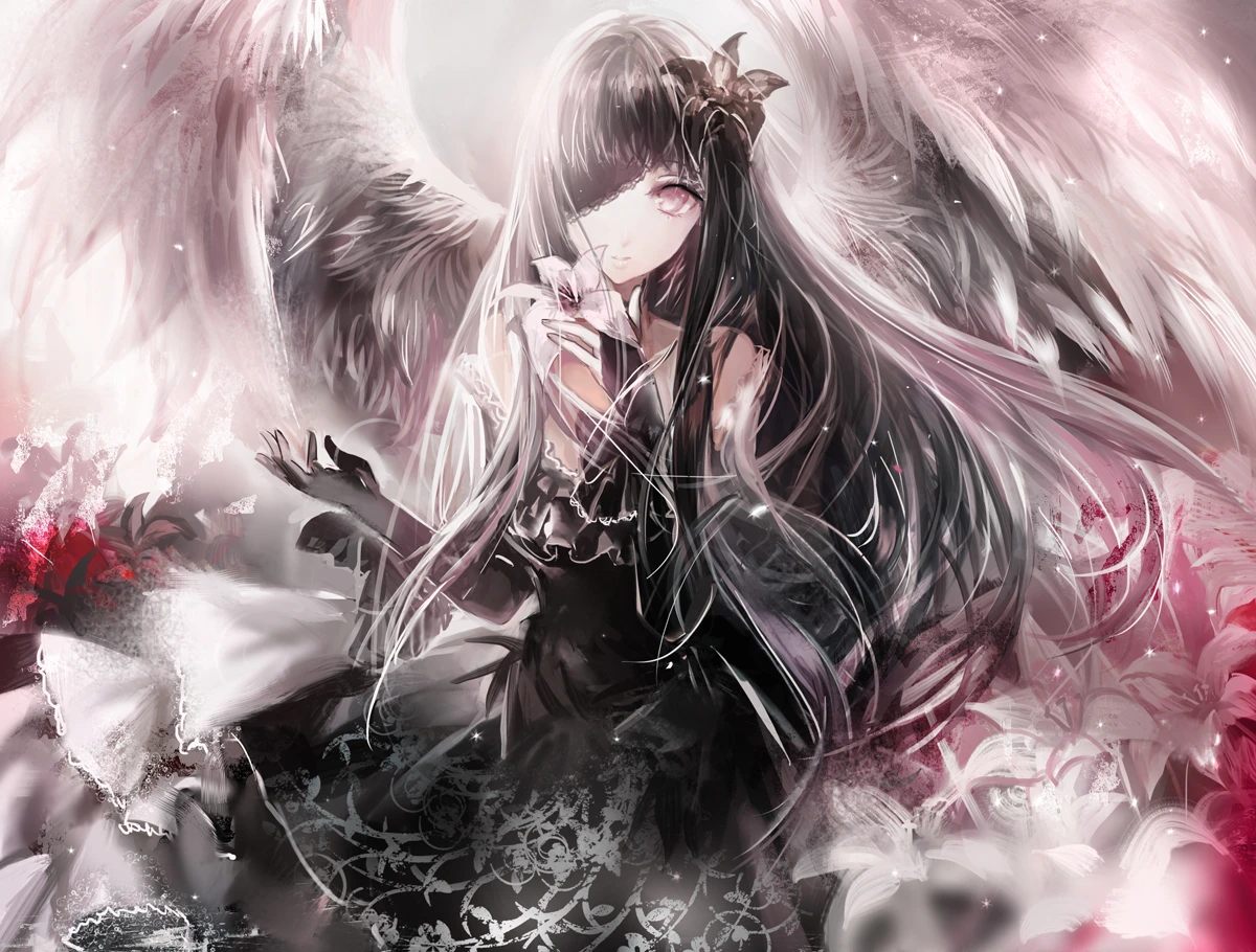 boxmoe_header_banner_img
