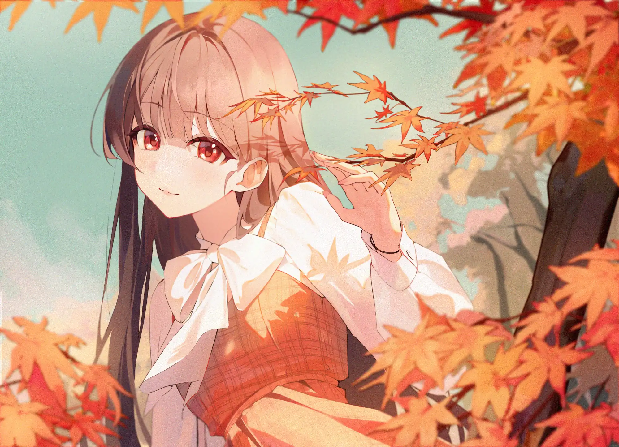 boxmoe_header_banner_img
