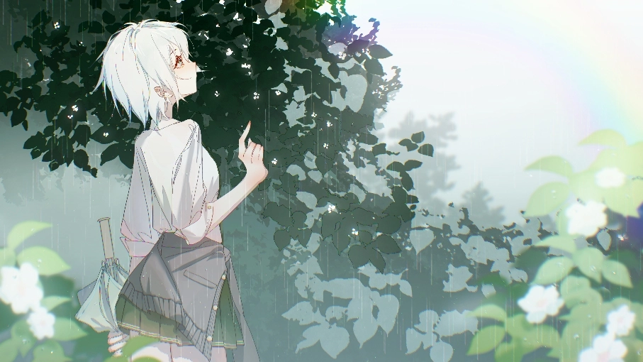 boxmoe_header_banner_img