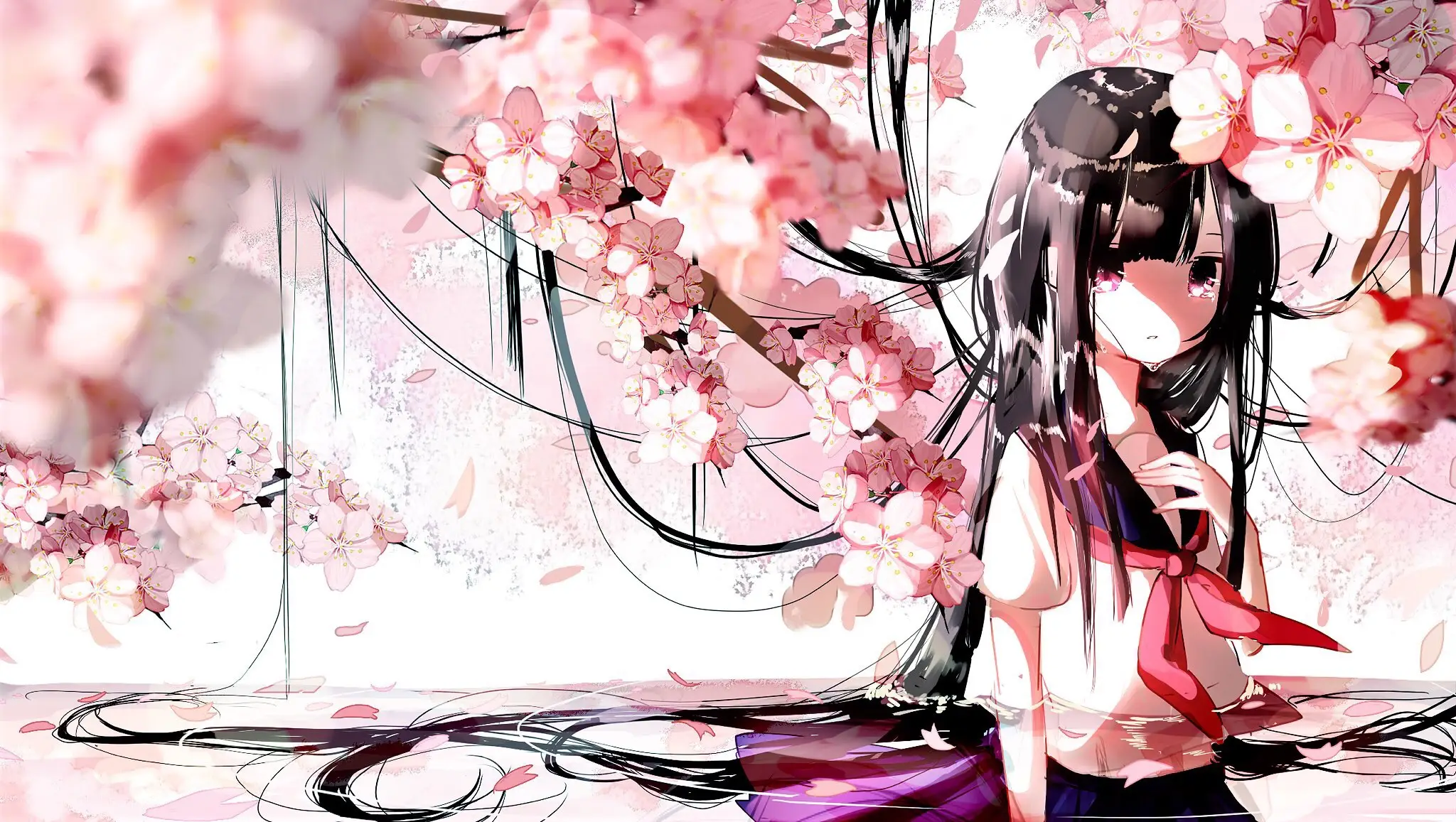 boxmoe_header_banner_img