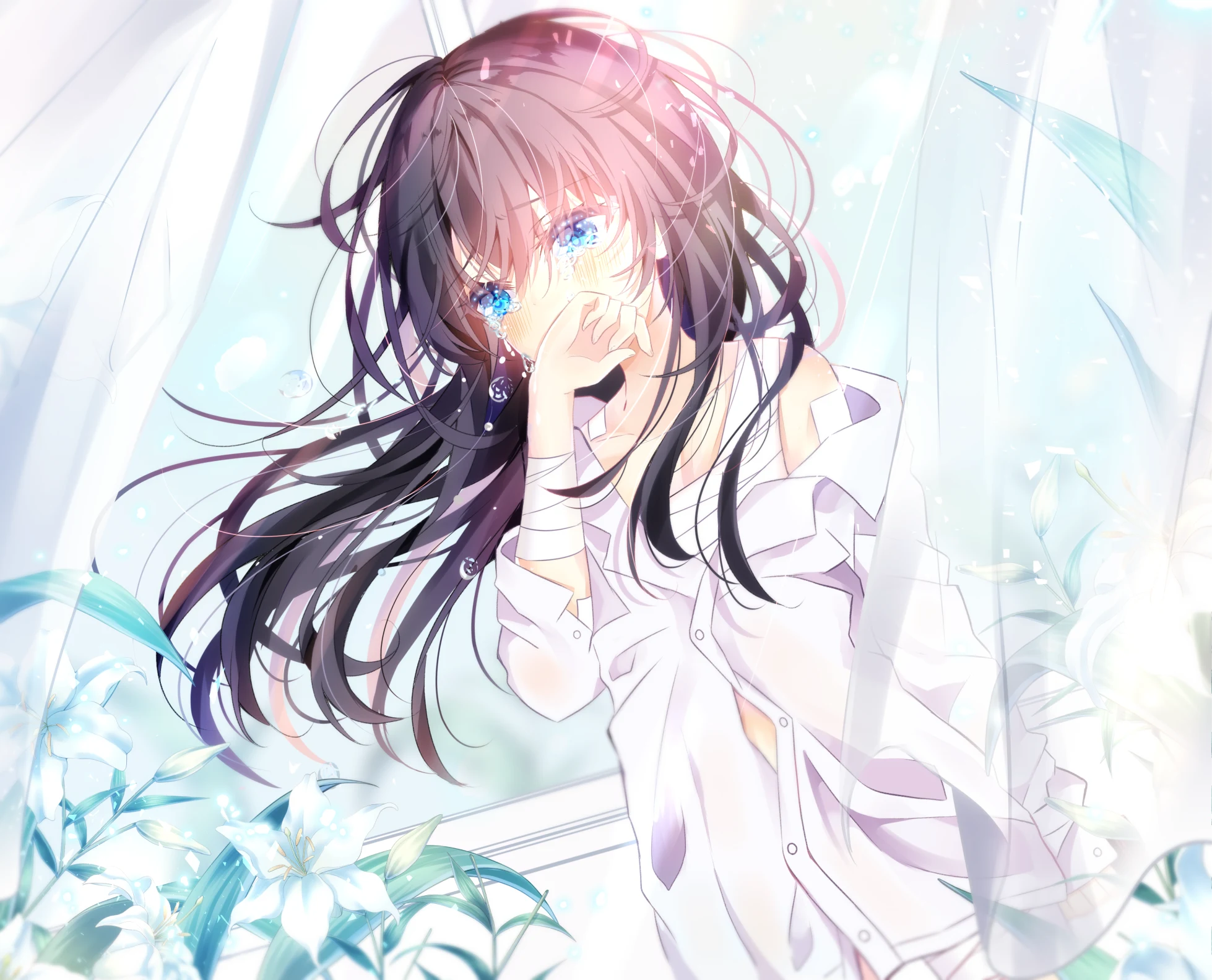 boxmoe_header_banner_img